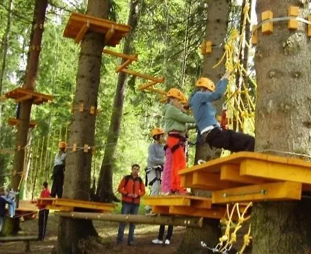 Pod Chopkom Domek alpejski *