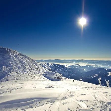 Domek alpejski Pod Chopkom